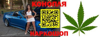 шишки Беслан